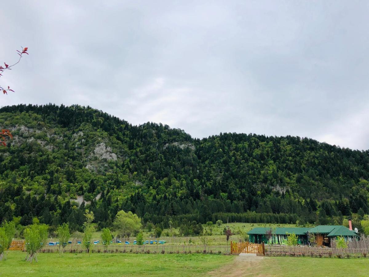 Camping Farm Shelegur Villa Leskovik Exterior photo