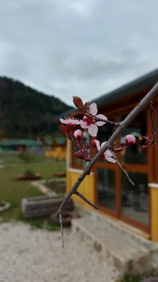 Camping Farm Shelegur Villa Leskovik Exterior photo